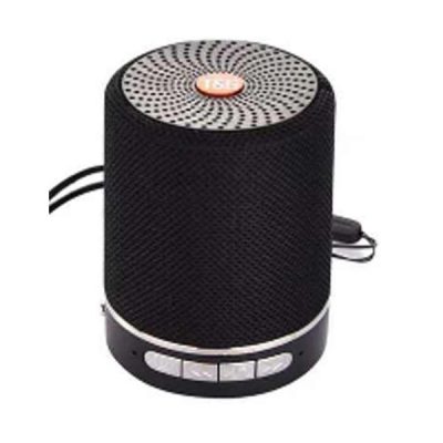 اسپیکر بلوتوثی تی اند جی مدل TG511