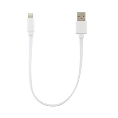 کابل پاوربانکی آیفون مدل ۲۵۲