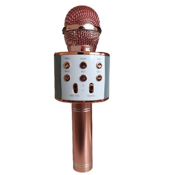 P-net-CH-8850-Microphone-main.jpg